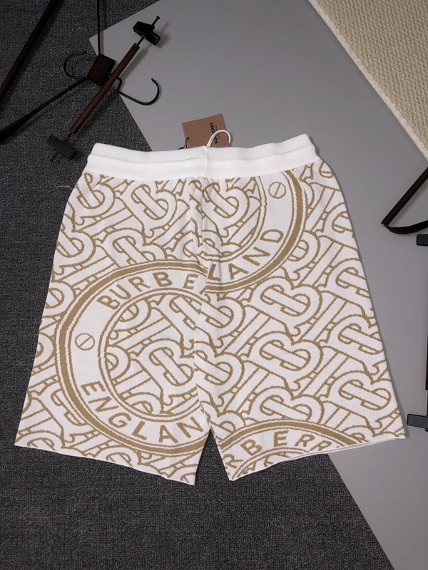 ブランドハーフパンツ着用イメージ